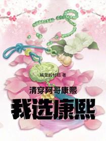 清穿康熙是我阿玛