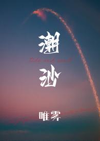 潮沙(1v1)_全文在线阅读_唯雾作品 - 飞言情网
