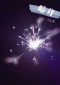 暗shao