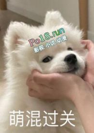 别捏啥意思