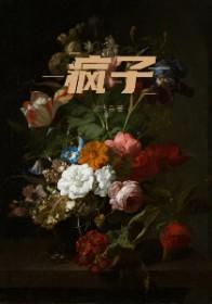 疯子小妖子原著