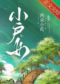 小户女的青云路txt百度