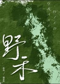 伪兄妹番外