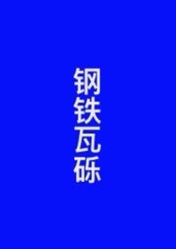 钢铁瓦砾舅甥