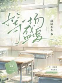 赴一场盛夏之约