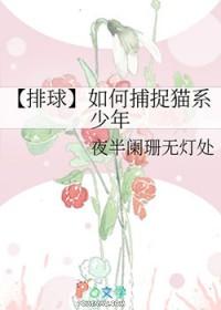 排球少年猫咪