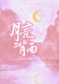 月亮背面照片