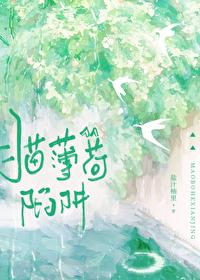 猫薄荷啥原理