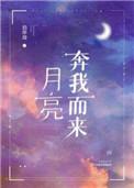 我不试图摘月