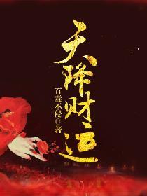 天降财运在线阅读免费