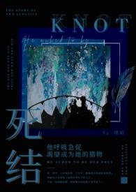 死结姐弟骨科好看吗