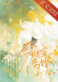 今日不宜离婚番外