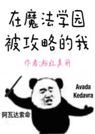 在魔法学校当老师的动漫