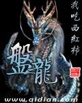 盘龙爱丽丝结局