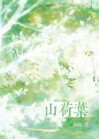 山荷叶花语的真谛