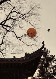 雀儿药粥免费阅读鲥鱼多刺海棠