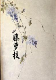 藤萝枝txt