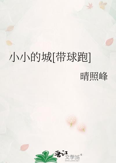 小小的城市大大的我是什么歌歌词是什么意思