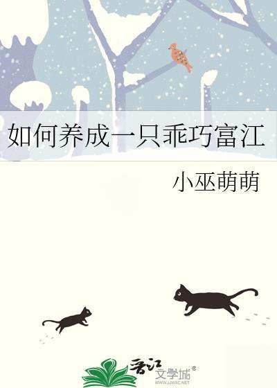 如何养出一只乖巧的小猫咪