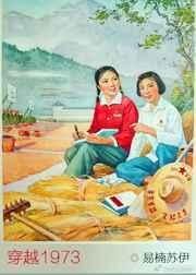 穿越1973年分家继承家产的