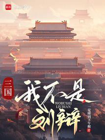 三国我刘辩