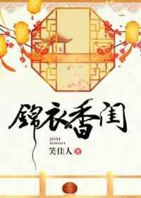锦衣香闺讲了什么