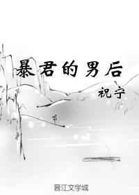 暴君的男后完整版