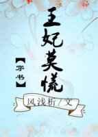 王妃莫慌(穿书)作者风浅析