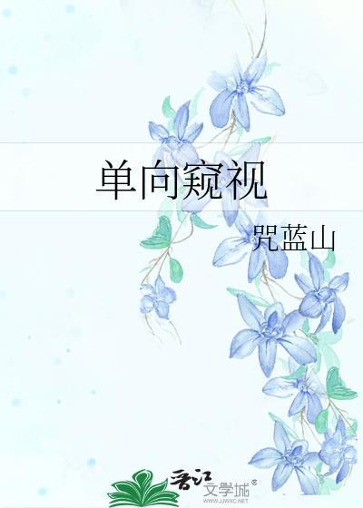 单向视觉流程包括