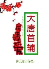 大唐房遗爱笔趣阁