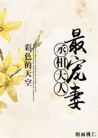丞相大人的宠妻日常映澈
