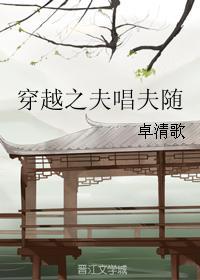 穿越之夫郎